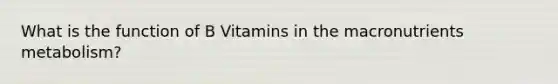 What is the function of B Vitamins in the macronutrients metabolism?