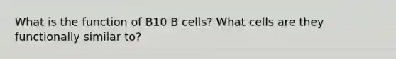 What is the function of B10 B cells? What cells are they functionally similar to?