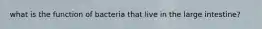 what is the function of bacteria that live in the large intestine?