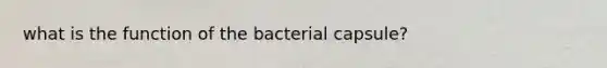 what is the function of the bacterial capsule?