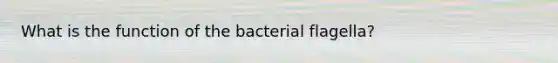 What is the function of the bacterial flagella?