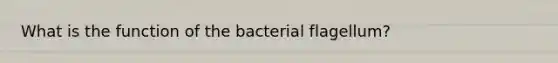 What is the function of the bacterial flagellum?