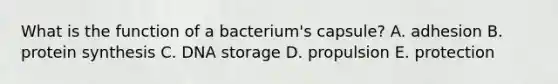 What is the function of a bacterium's capsule? A. adhesion B. protein synthesis C. DNA storage D. propulsion E. protection