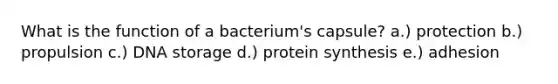 What is the function of a bacterium's capsule? a.) protection b.) propulsion c.) DNA storage d.) protein synthesis e.) adhesion