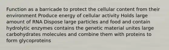 Function as a barricade to protect the cellular content from their environment Produce energy of cellular activity Holds large amount of RNA Dispose large particles and food and contain hydrolytic enzymes contains the genetic material unites large carbohydrates molecules and combine them with proteins to form glycoproteins