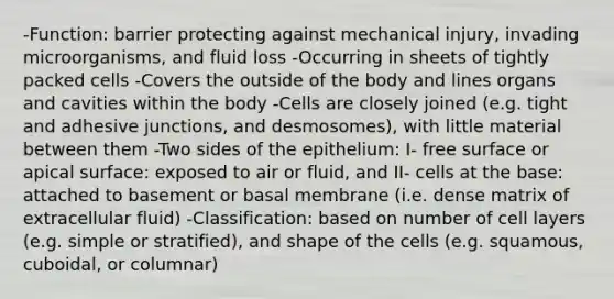 -Function: barrier protecting against mechanical injury, invading microorganisms, and fluid loss -Occurring in sheets of tightly packed cells -Covers the outside of the body and lines organs and cavities within the body -Cells are closely joined (e.g. tight and adhesive junctions, and desmosomes), with little material between them -Two sides of the epithelium: I- free surface or apical surface: exposed to air or fluid, and II- cells at the base: attached to basement or basal membrane (i.e. dense matrix of extracellular fluid) -Classification: based on number of cell layers (e.g. simple or stratified), and shape of the cells (e.g. squamous, cuboidal, or columnar)