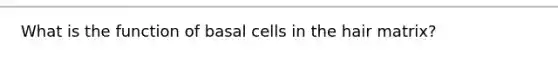 What is the function of basal cells in the hair matrix?