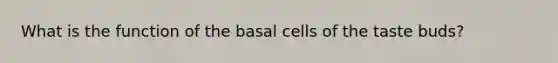 What is the function of the basal cells of the taste buds?