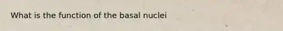 What is the function of the basal nuclei