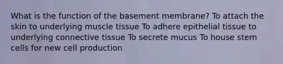 What is the function of the basement membrane? To attach the skin to underlying <a href='https://www.questionai.com/knowledge/kMDq0yZc0j-muscle-tissue' class='anchor-knowledge'>muscle tissue</a> To adhere <a href='https://www.questionai.com/knowledge/k7dms5lrVY-epithelial-tissue' class='anchor-knowledge'>epithelial tissue</a> to underlying <a href='https://www.questionai.com/knowledge/kYDr0DHyc8-connective-tissue' class='anchor-knowledge'>connective tissue</a> To secrete mucus To house stem cells for new cell production