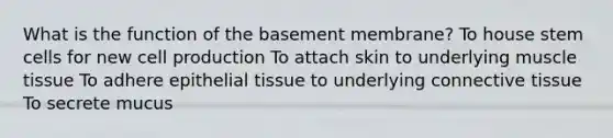 What is the function of the basement membrane? To house stem cells for new cell production To attach skin to underlying muscle tissue To adhere epithelial tissue to underlying connective tissue To secrete mucus