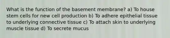 What is the function of the basement membrane? a) To house stem cells for new cell production b) To adhere <a href='https://www.questionai.com/knowledge/k7dms5lrVY-epithelial-tissue' class='anchor-knowledge'>epithelial tissue</a> to underlying <a href='https://www.questionai.com/knowledge/kYDr0DHyc8-connective-tissue' class='anchor-knowledge'>connective tissue</a> c) To attach skin to underlying <a href='https://www.questionai.com/knowledge/kMDq0yZc0j-muscle-tissue' class='anchor-knowledge'>muscle tissue</a> d) To secrete mucus