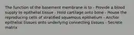 The function of the basement membrane is to - Provide a blood supply to epithelial tissue - Hold cartilage onto bone - House the reproducing cells of stratified squamous epithelium - Anchor epithelial tissues onto underlying connecting tissues - Secrete matrix