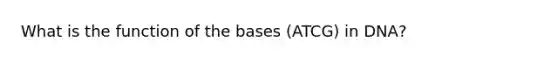 What is the function of the bases (ATCG) in DNA?