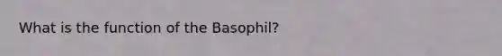 What is the function of the Basophil?