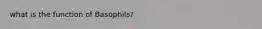 what is the function of Basophils?