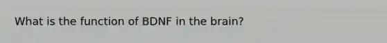 What is the function of BDNF in the brain?