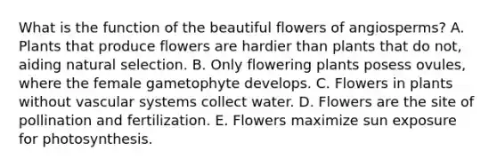 What is the function of the beautiful flowers of angiosperms? A. Plants that produce flowers are hardier than plants that do not, aiding natural selection. B. Only flowering plants posess ovules, where the female gametophyte develops. C. Flowers in plants without vascular systems collect water. D. Flowers are the site of pollination and fertilization. E. Flowers maximize sun exposure for photosynthesis.