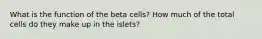 What is the function of the beta cells? How much of the total cells do they make up in the islets?