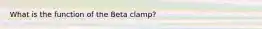 What is the function of the Beta clamp?