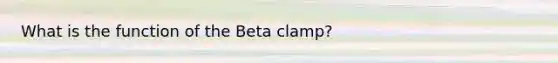 What is the function of the Beta clamp?