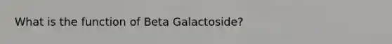 What is the function of Beta Galactoside?