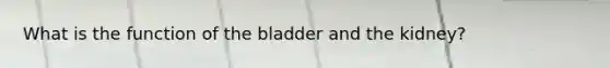 What is the function of the bladder and the kidney?