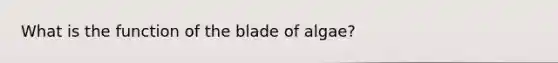 What is the function of the blade of algae?