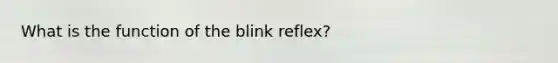 What is the function of the blink reflex?