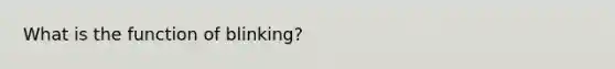 What is the function of blinking?