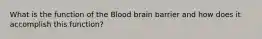 What is the function of the Blood brain barrier and how does it accomplish this function?