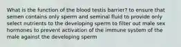 What is the function of the blood testis barrier? to ensure that semen contains only sperm and seminal fluid to provide only select nutrients to the developing sperm to filter out male sex hormones to prevent activation of the immune system of the male against the developing sperm