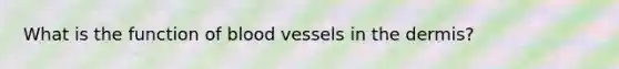 What is the function of blood vessels in the dermis?