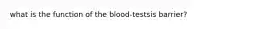 what is the function of the blood-testsis barrier?