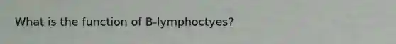 What is the function of B-lymphoctyes?