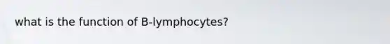 what is the function of B-lymphocytes?