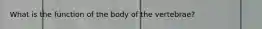 What is the function of the body of the vertebrae?