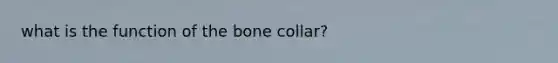 what is the function of the bone collar?