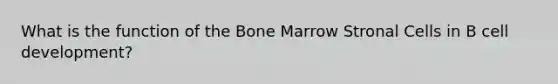 What is the function of the Bone Marrow Stronal Cells in B cell development?