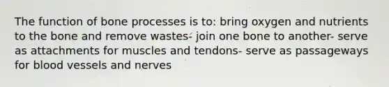 The function of bone processes is to: bring oxygen and nutrients to the bone and remove wastes- join one bone to another- serve as attachments for muscles and tendons- serve as passageways for blood vessels and nerves