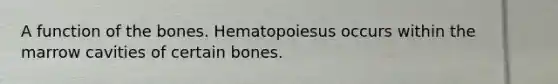 A function of the bones. Hematopoiesus occurs within the marrow cavities of certain bones.