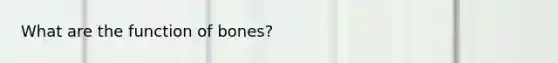 What are the function of bones?