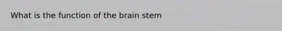 What is the function of the brain stem