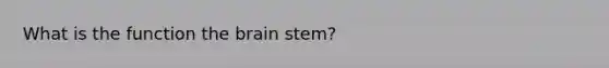 What is the function the brain stem?