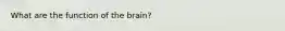 What are the function of the brain?