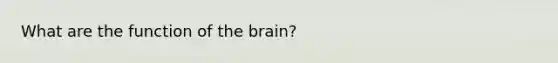 What are the function of the brain?