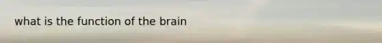 what is the function of the brain