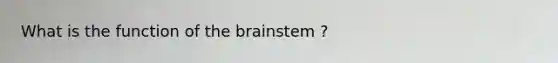 What is the function of the brainstem ?