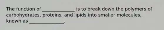 The function of ______________ is to break down the polymers of carbohydrates, proteins, and lipids into smaller molecules, known as _______________.