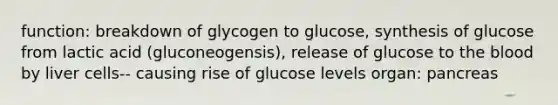 function: breakdown of glycogen to glucose, synthesis of glucose from lactic acid (gluconeogensis), release of glucose to the blood by liver cells-- causing rise of glucose levels organ: pancreas